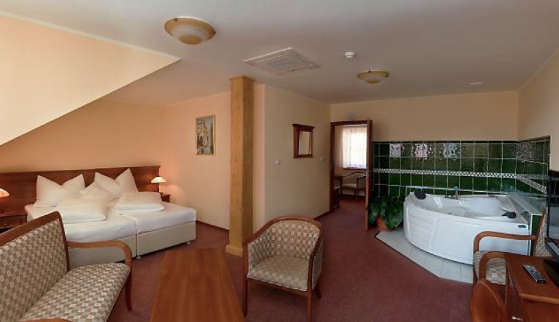 Wellness hotel Ida Františkovy Lázně